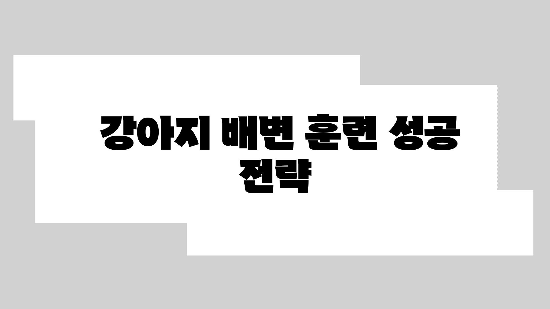  강아지 배변 훈련 성공 전략