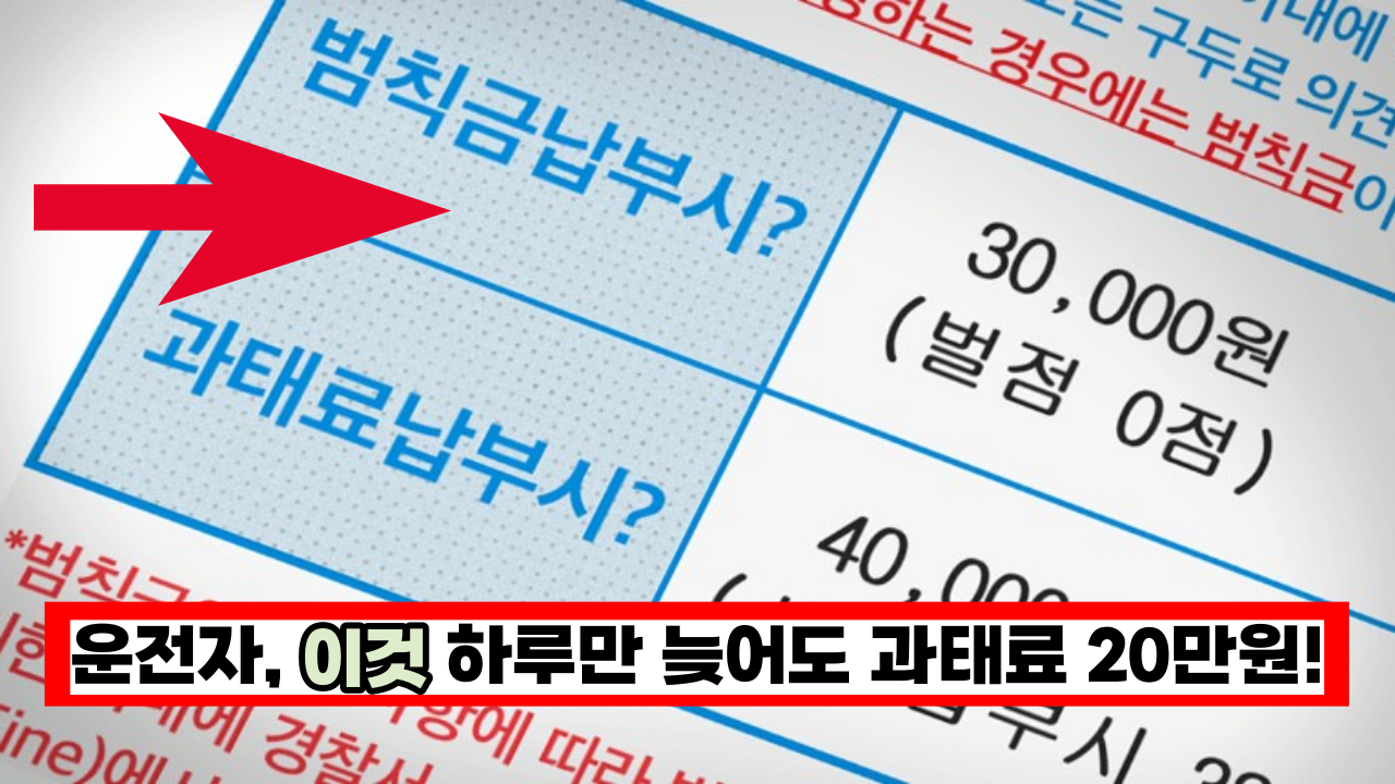  다음주부터, 자동차를 가지신 분들이라면 '이것' 꼭 확인하세요. 하루만 늦어도 과태료 2만원씩 부과 됩니다.
