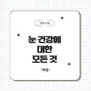 눈 건강