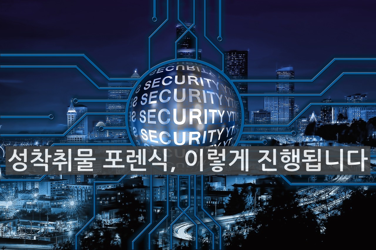  성착취물 포렌식 해서 분석하면 어떤 결과물이 나올까요?