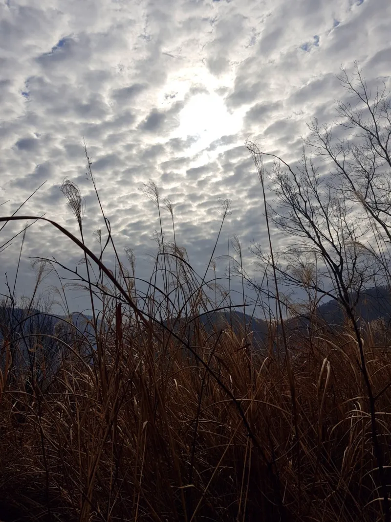 함안 여항산
