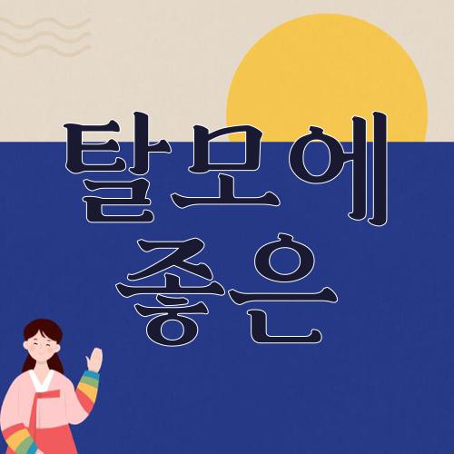 탈모에 좋은