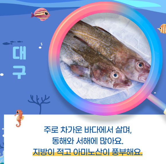 코리아 수산페스타
