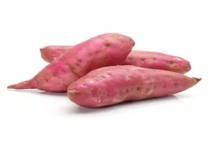 고구마