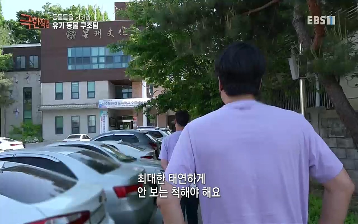 TV - 교육의 중심 EBS동물들을 지켜라, 수의사와 유기 동물 구조팀.mp4_20220913_200153.489.jpg