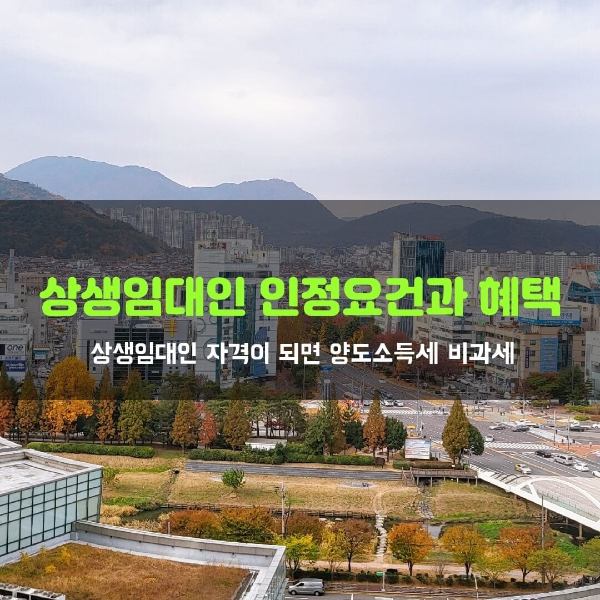  상생임대인 인정 요건과 양도소득세 면제 혜택