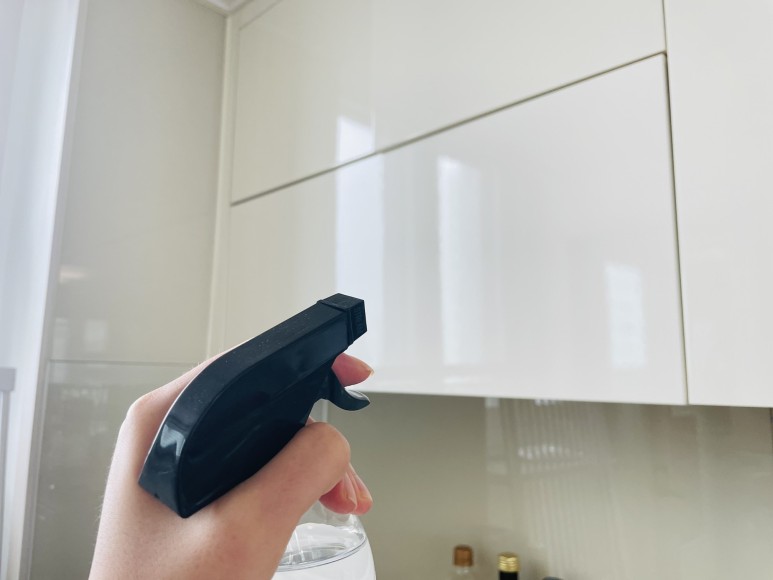 초파리 벌레 극혐오 4가지 활용법 13