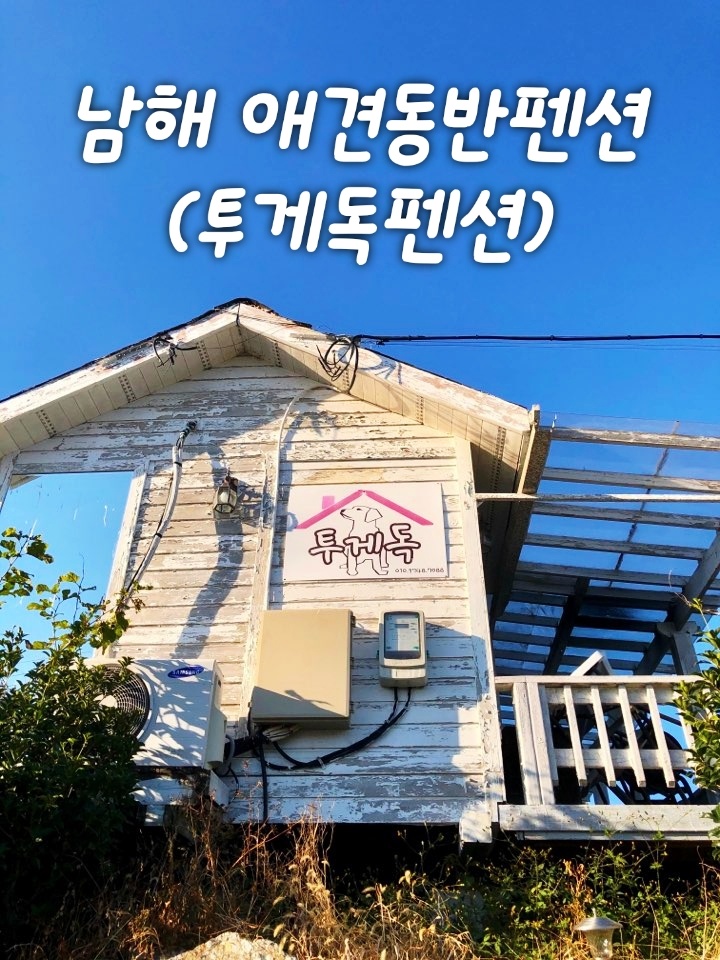  남해 애견동반펜션(투게더독 후기..)