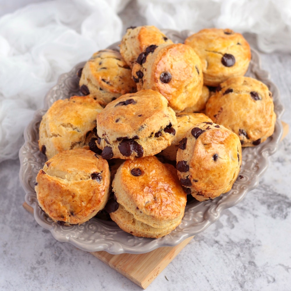 chocolate chip scone