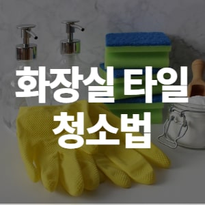 식초로 화장실 청소