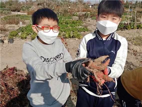 광성초등학교 이미지