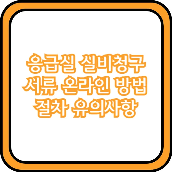  응급실 실비청구 서류 온라인 방법 절차 유의사항