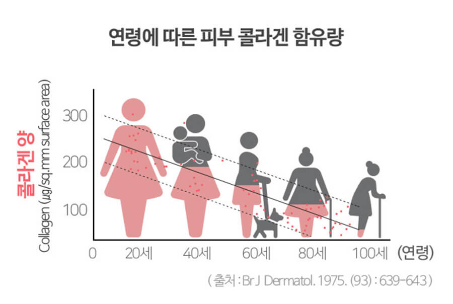 연령에 따른 피부 콜라겐 양