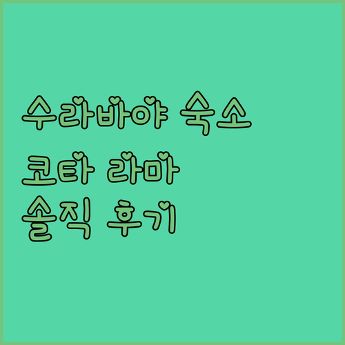 수라바야 여행객 필독 라모라 코타 라
