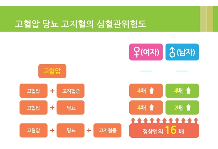  직장인 분들 주목!! 고혈압, 당뇨, 이상 지질혈증 예방하는 방법 건강한 몸만들기