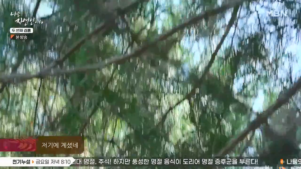 나는 자연인이다.E572.230921p-NEXT.mp4_20230921_202629.163.jpg