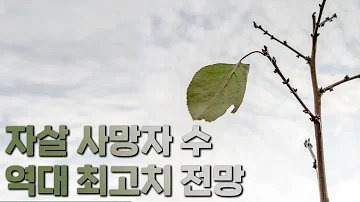 #청소년자살 #자살예방 #정신건강 #한국자살률 #일본자살문제 #청소년정신건강 #자살위기 #생명존중 #우울증예방 #자살예방캠페인 #청소년상담 #학업스트레스 #정신건강인식 #자살통계 #OECD자살률