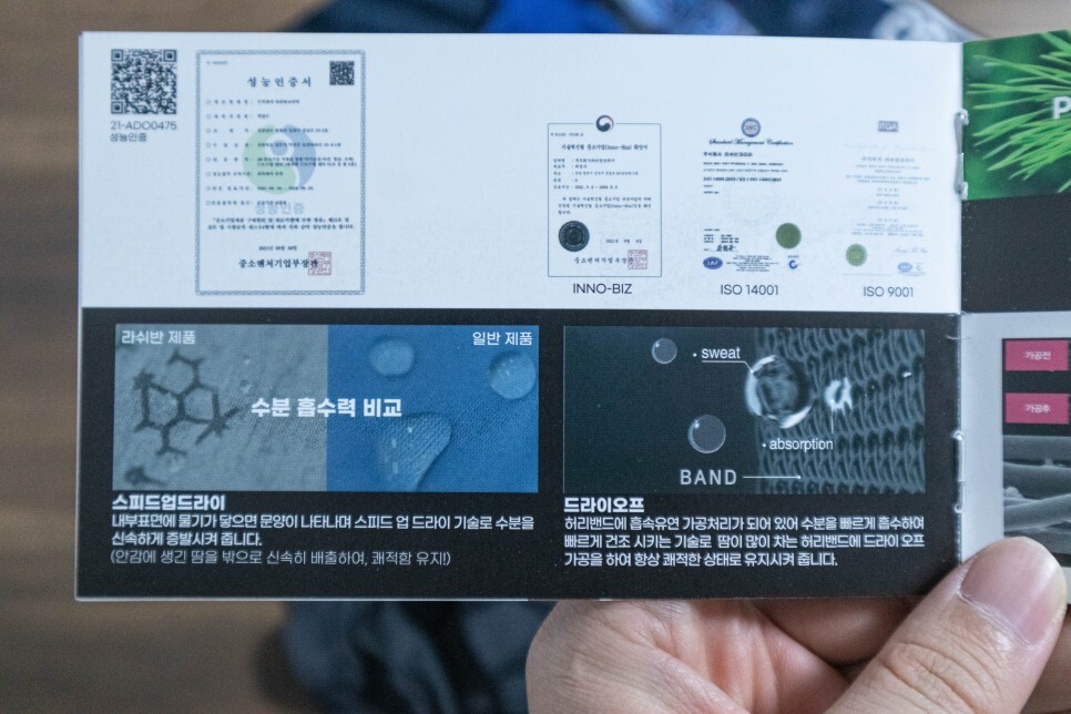 팬티