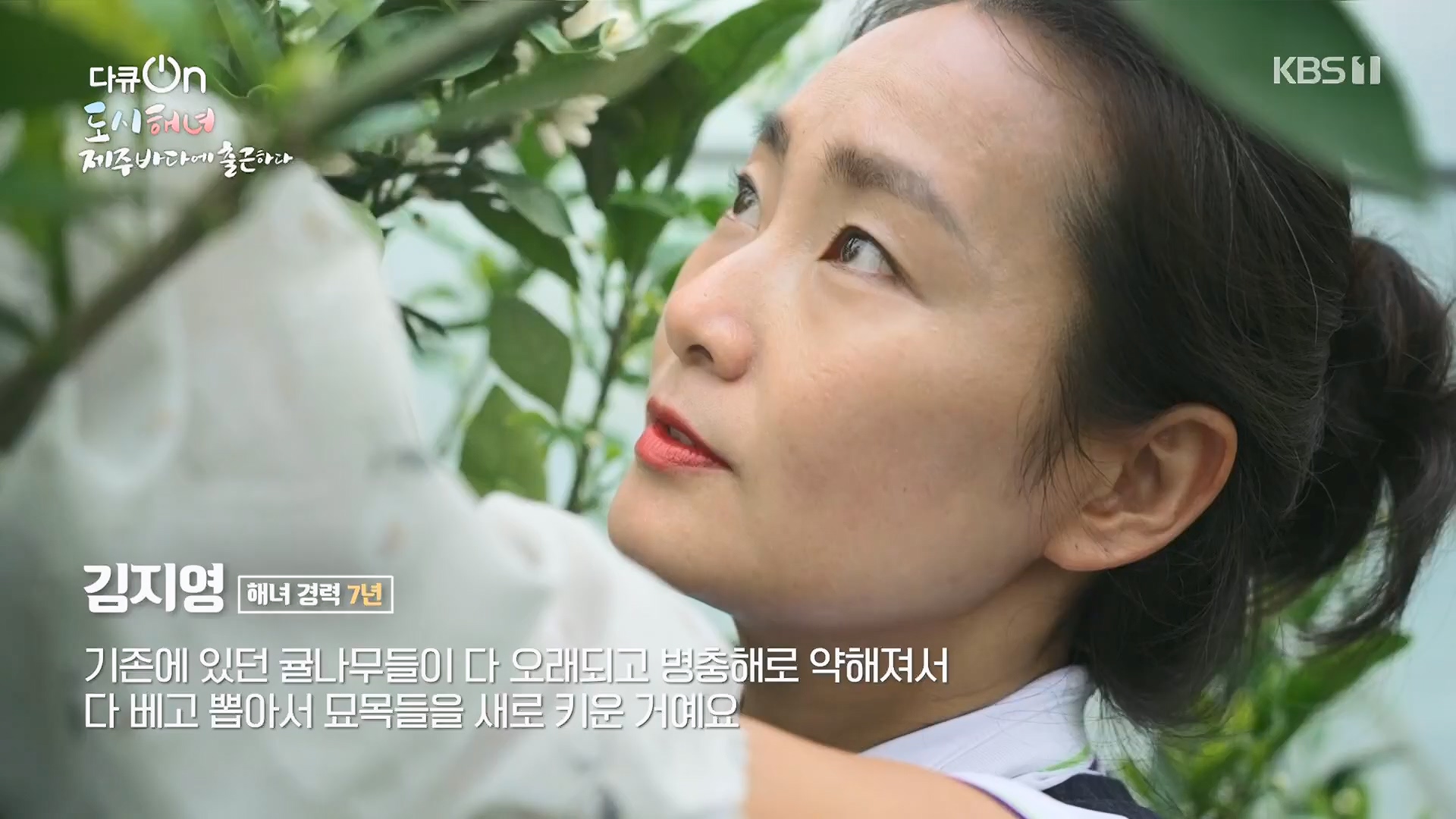 다큐 On.E197.230505p.H264-F1RST.mp4_20230507_133447.193.jpg