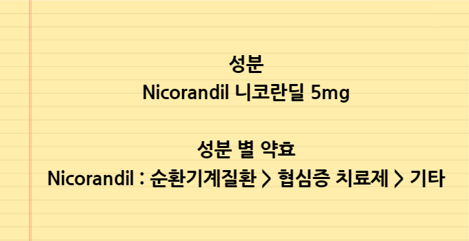바딜정_성분