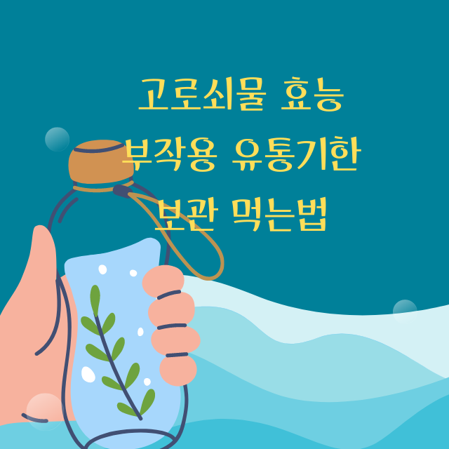 고로쇠물 효능 부작용 유통기한 보관 먹는법