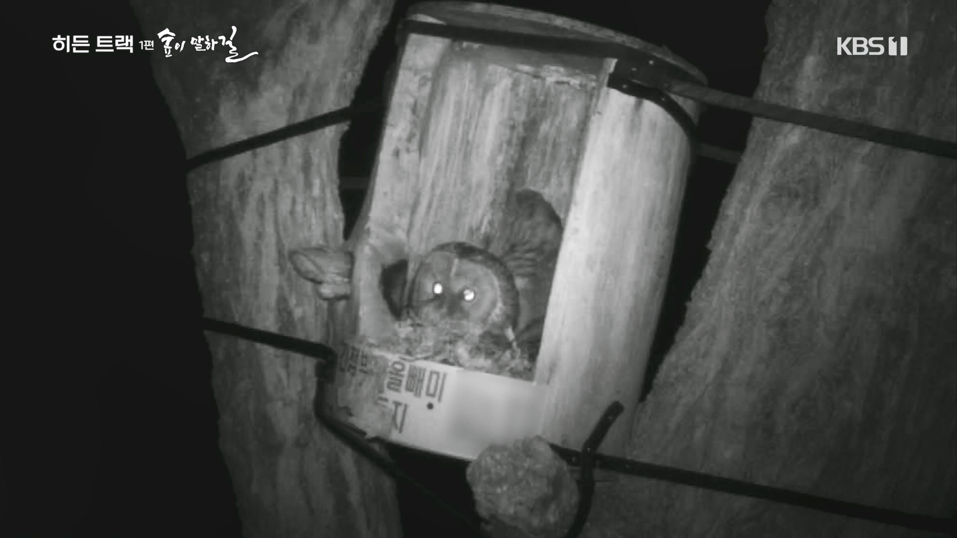 다큐 인사이트.E176.231214p.H264-F1RST.mp4_20231215_205449.538.jpg