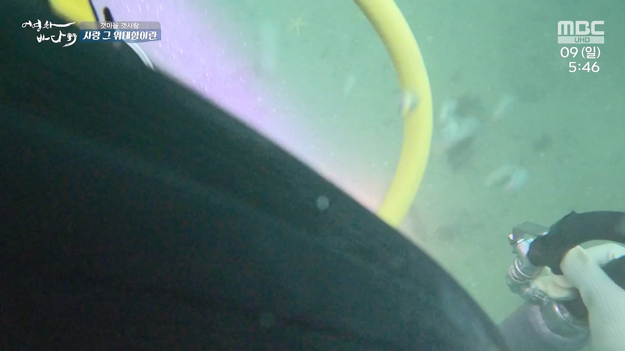 MBC 네트워크 특선 푸른백세 어영차 바다야.E1684.240610p-NEXT.mp4_20240611_203123.995.jpg