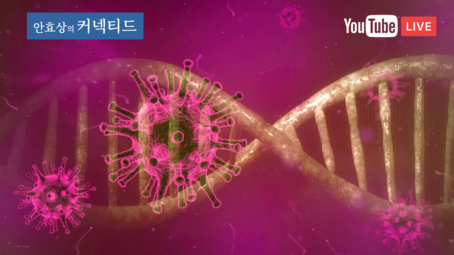  신종 코로나바이러스 감염증 새로운 국면으로 - 지역사회 감염과 대처 방안
