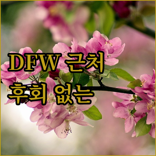 DFW 에어포트 근처 호텔 추천! 놓