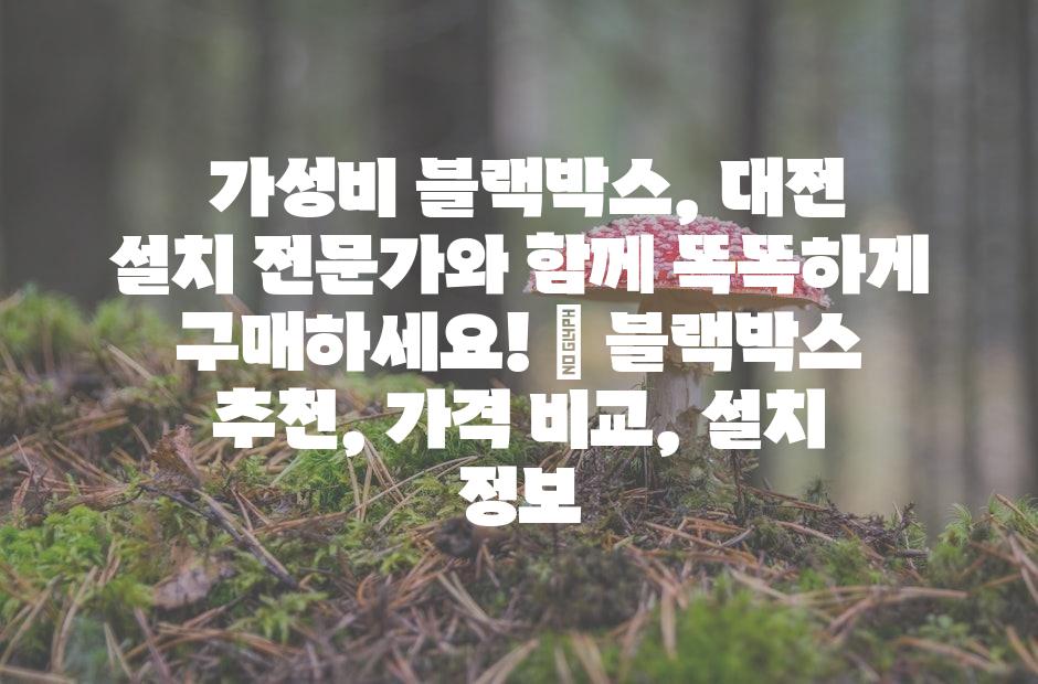 샘플 (42)