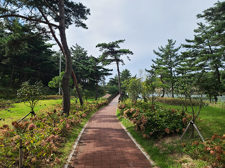 충남 걷기 좋은 숲길 국내여행 걷기 좋은 길, 40