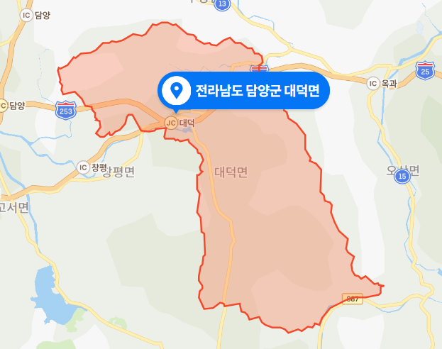  전남 담양군 대덕면 주택 화재 사망사건 (2020년 11월 8일 사건사고)