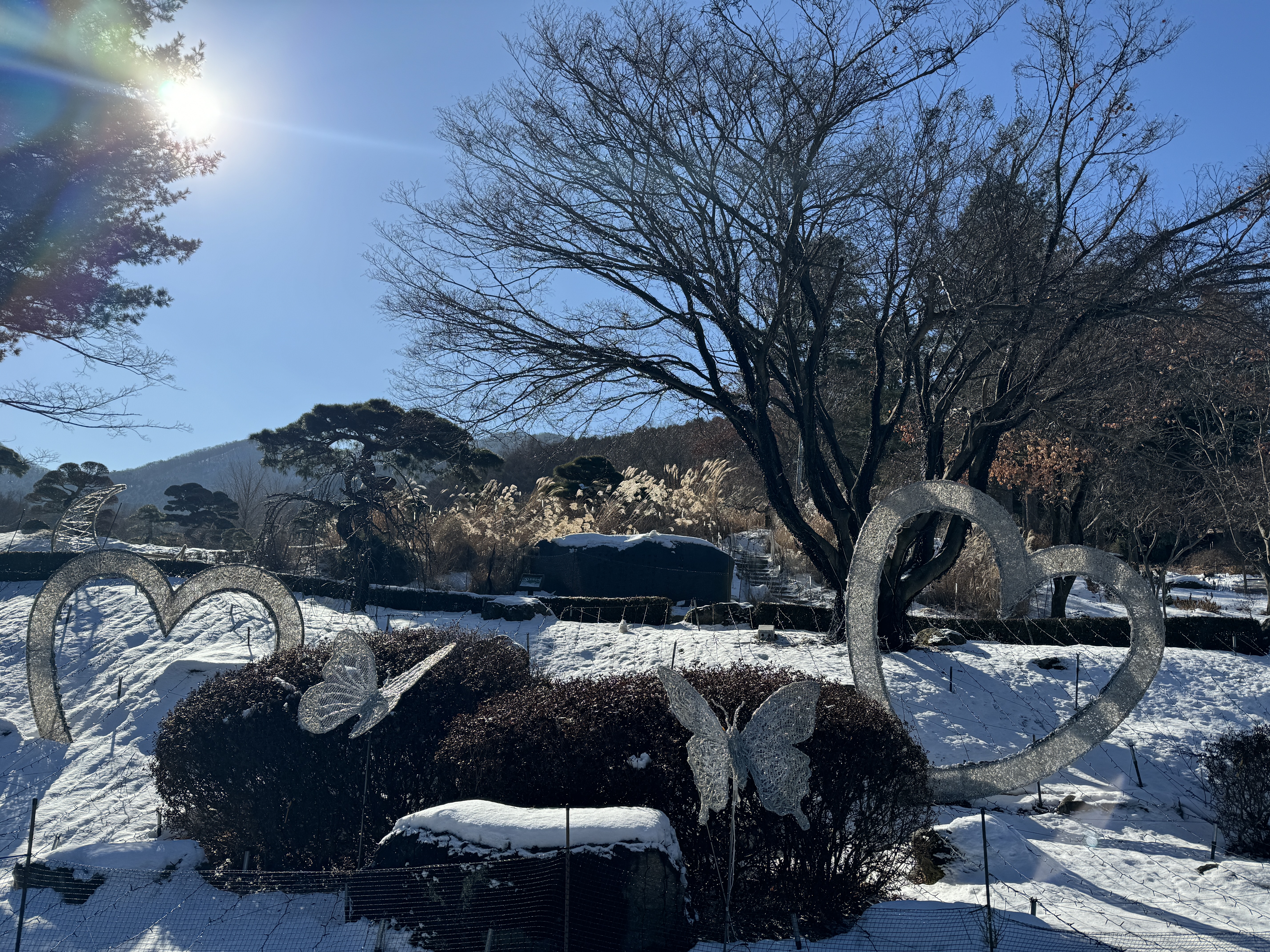 아침고요수목원