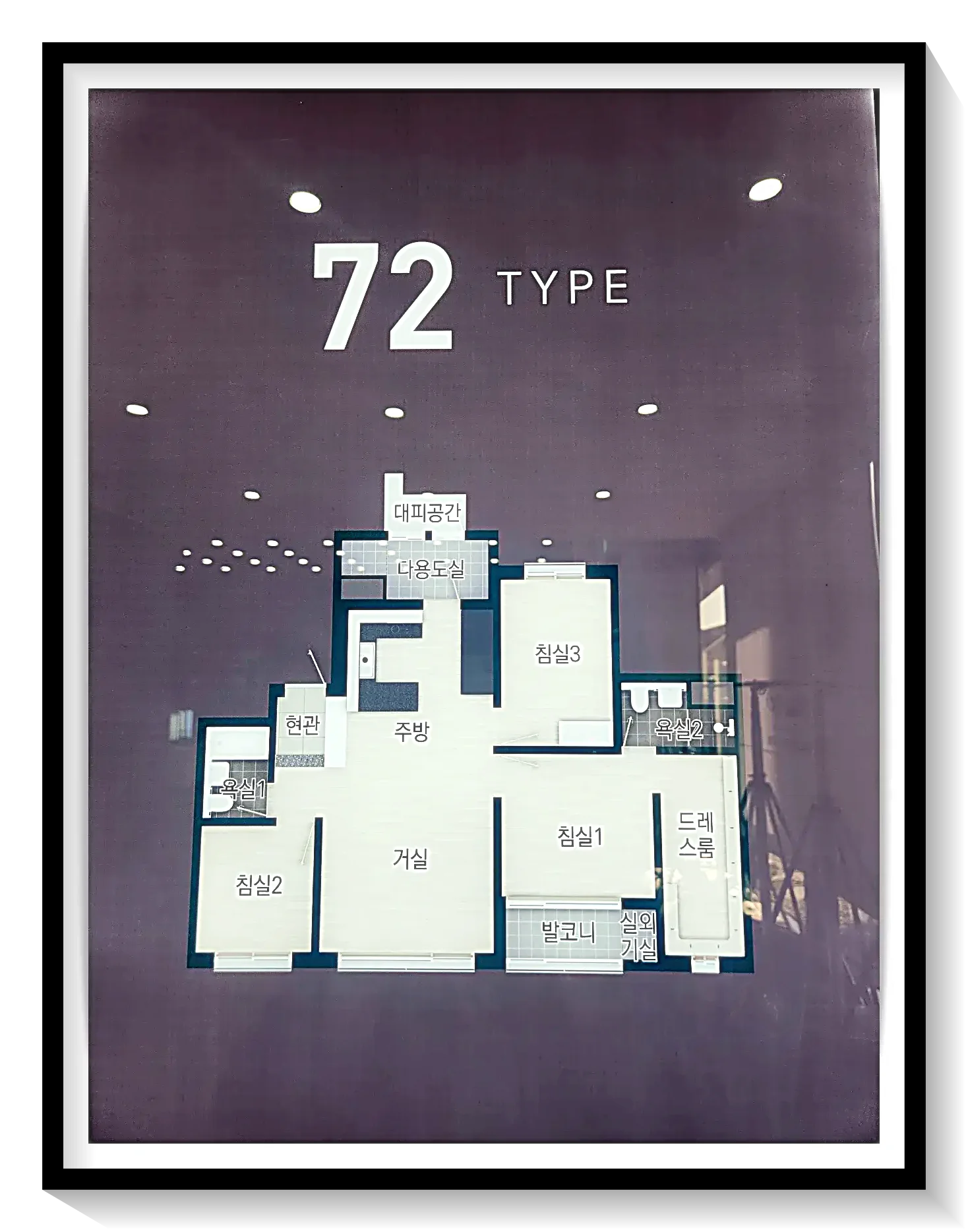 72타입
