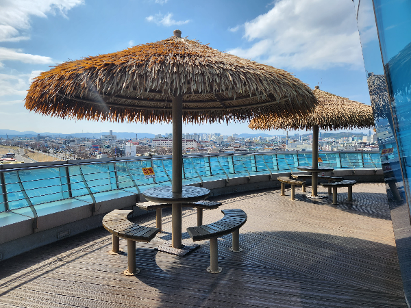 포항운하 개장시간