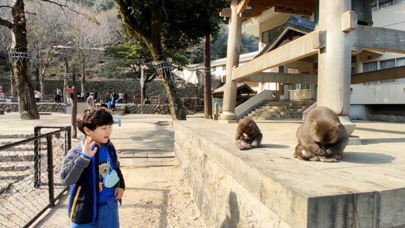 다카사키야마 자연동물원