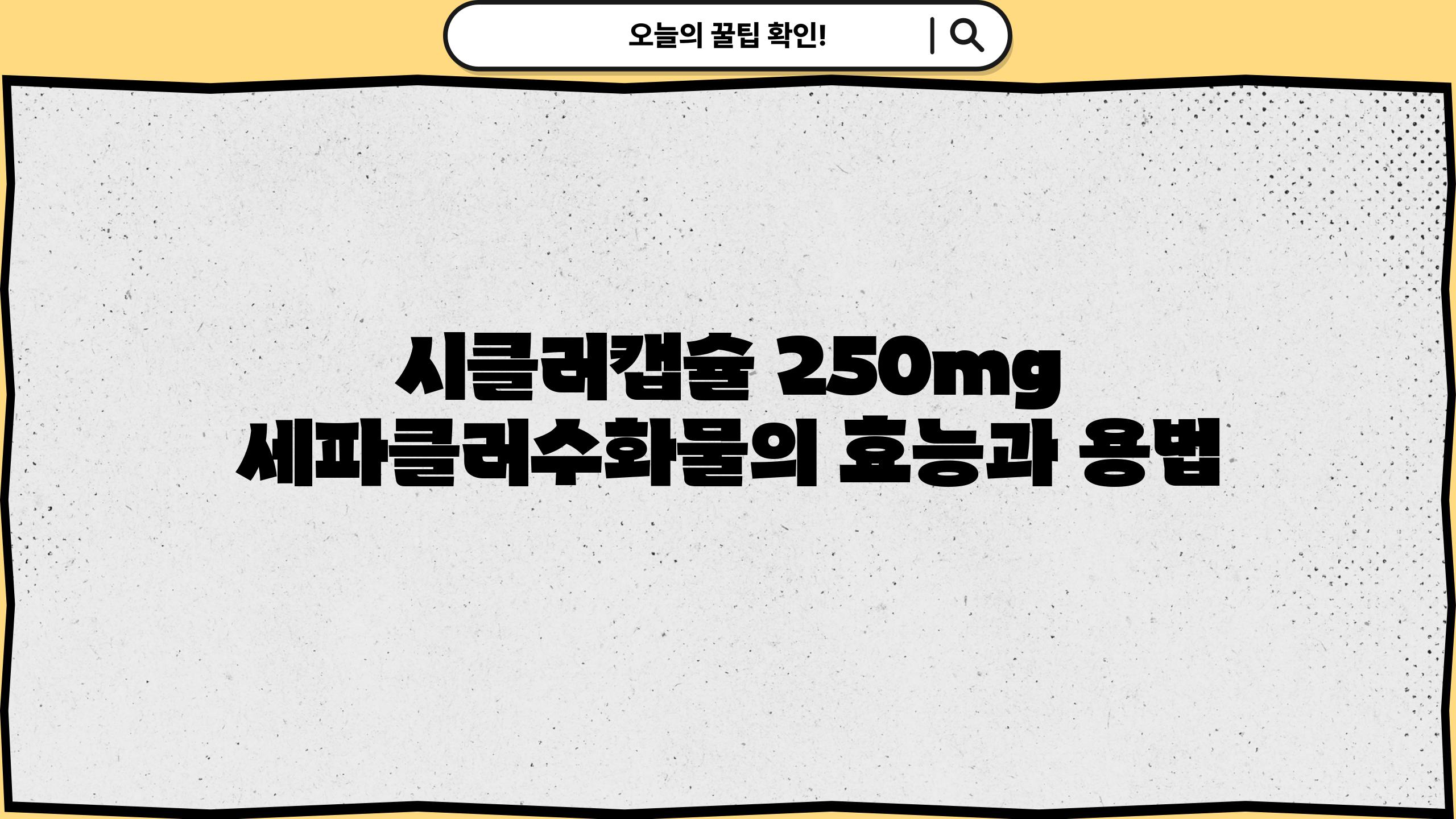 시클러캡슐 250mg 세파클러수화물의 효능과 용법