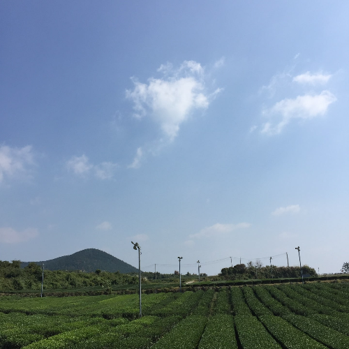 소만이란