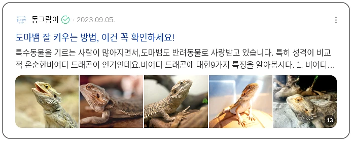 파충류 키우기_3_subsection