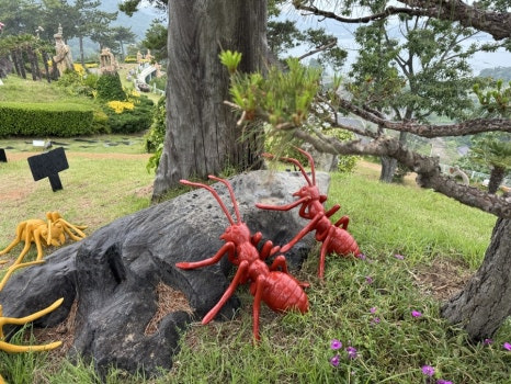 돌산정육식당 사진 4