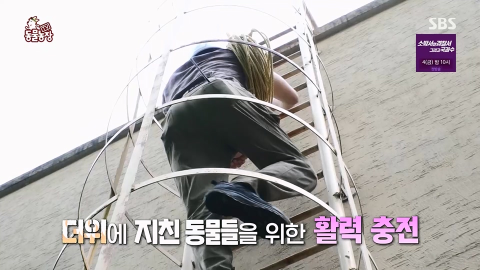 TV 동물농장.E1129.230716p.H264-F1RST.mp4_20230716_183626.691.jpg