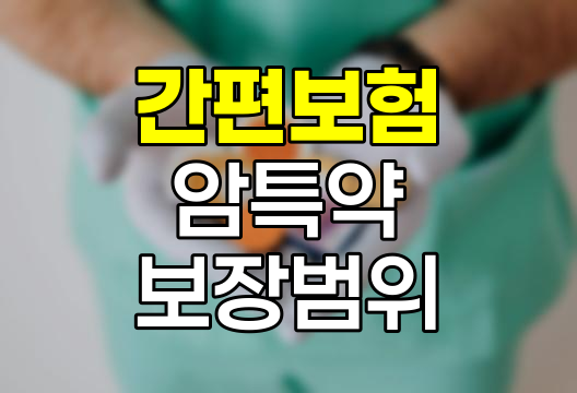 간편보험 암특약의 숨겨진 보장 범위와 한계