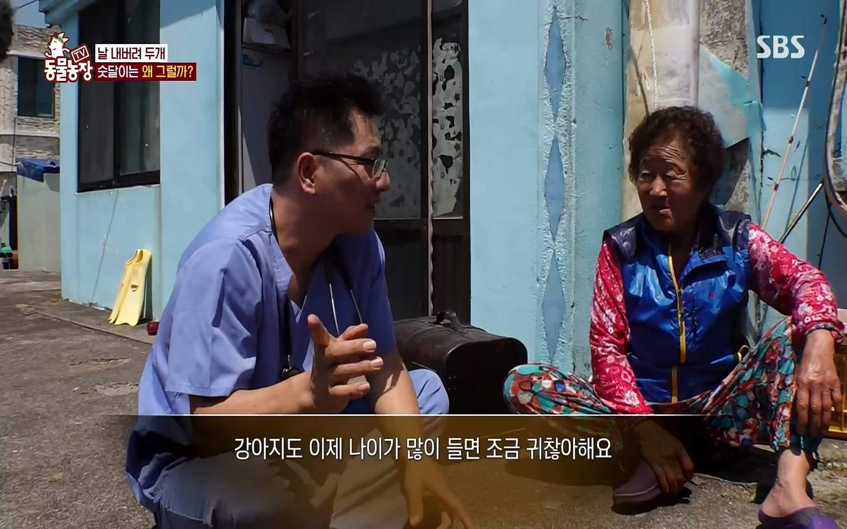 TV 동물농장.E1073.220612p.H264-F1RST.mp4_20220612_181406.246.jpg