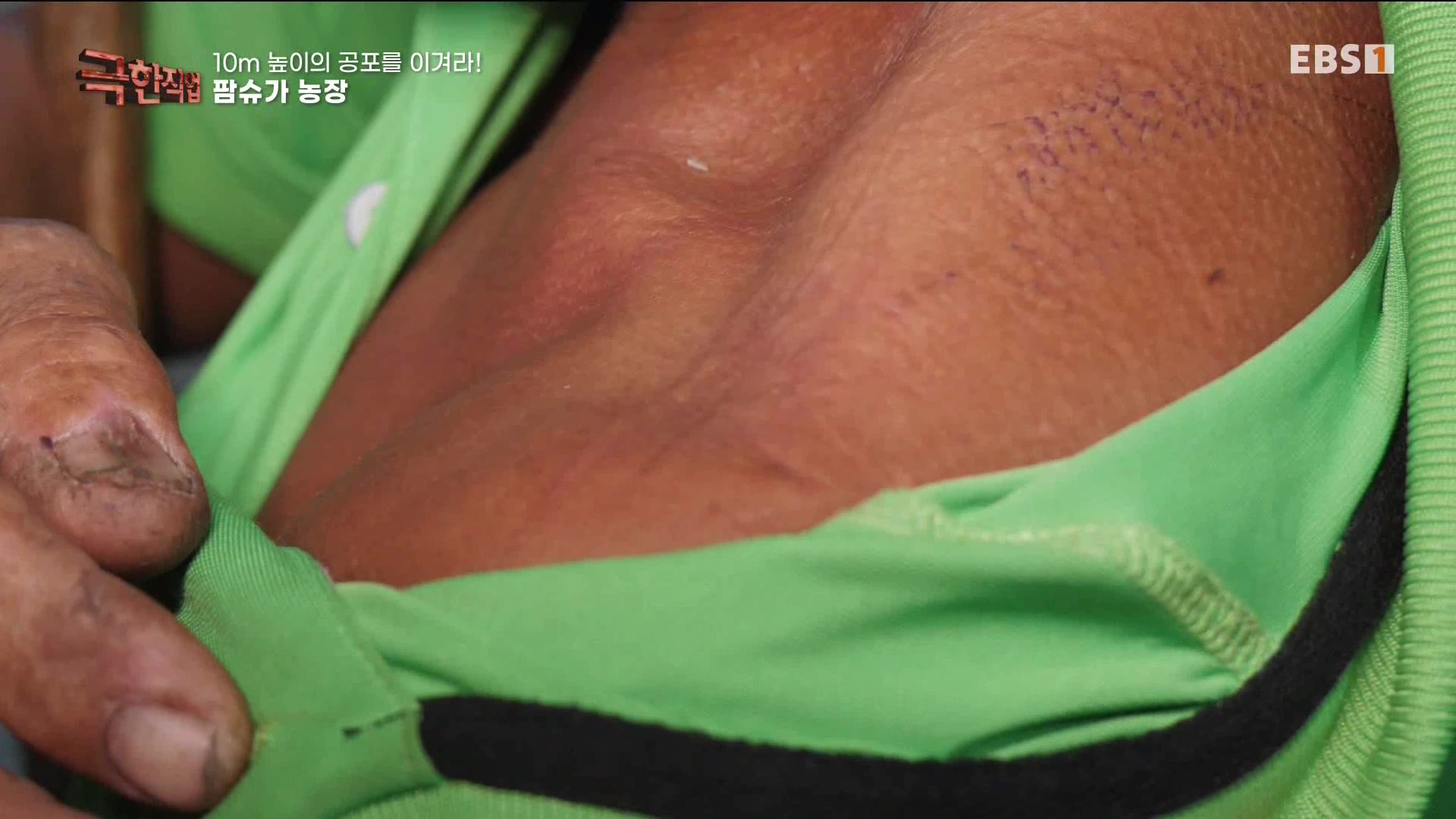 [극한 직업] 캄보디아 팜슈가 농장 230624.mp4_20230701_185223.450.jpg