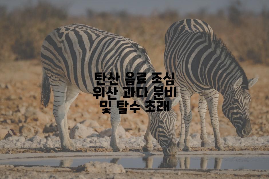 탄산 음료 조심 위산 과다 분비 및 탈수 초래