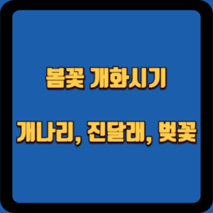 봄꽃 개화시기: 개나리, 진달래, 벚꽃