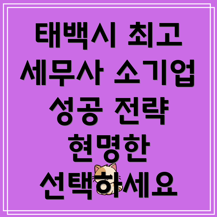 태백시 소기업 세무사 선택