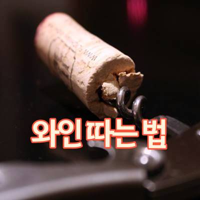  와인 따는 법 와인 오프너 사용법