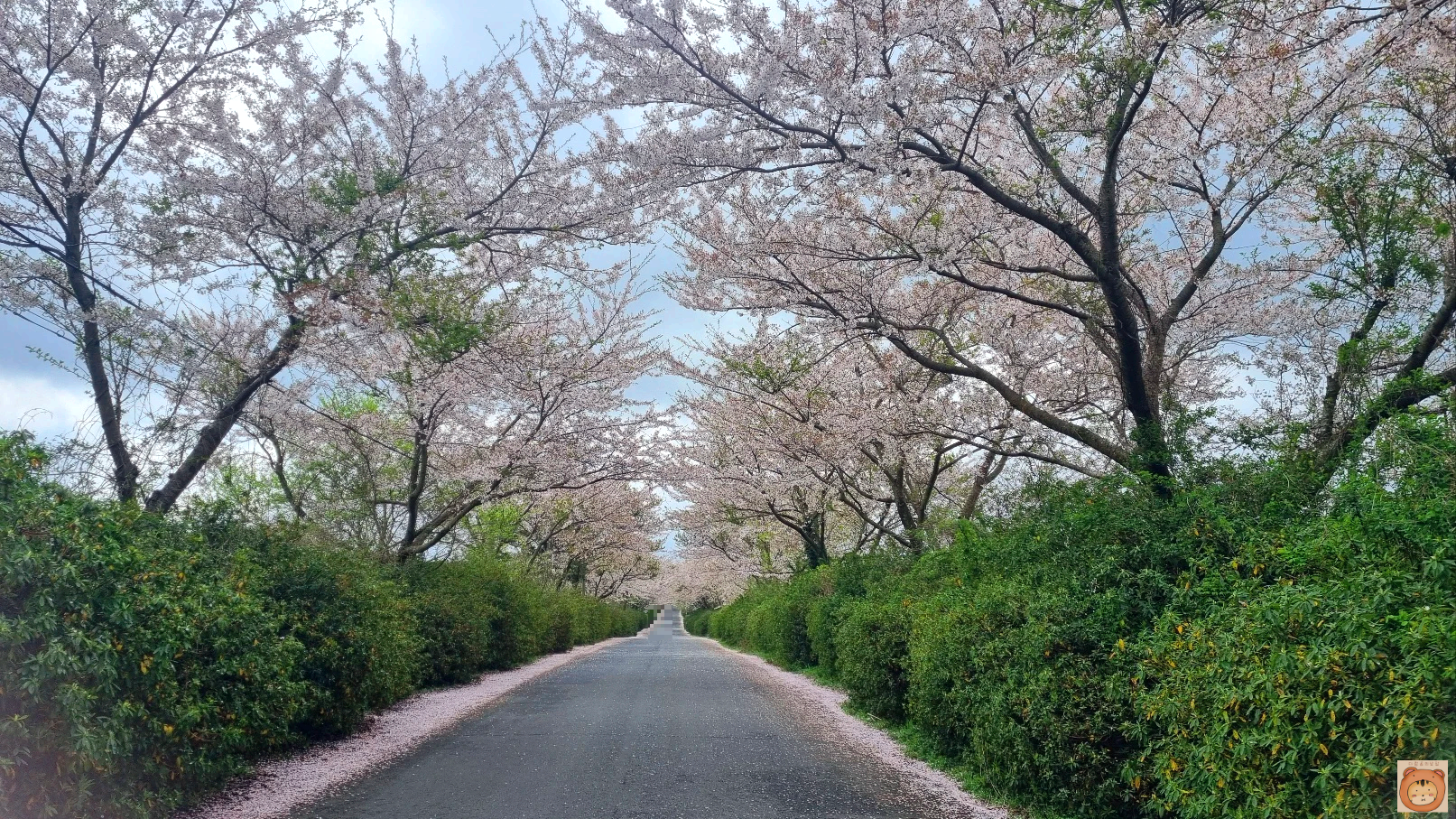 전원마을