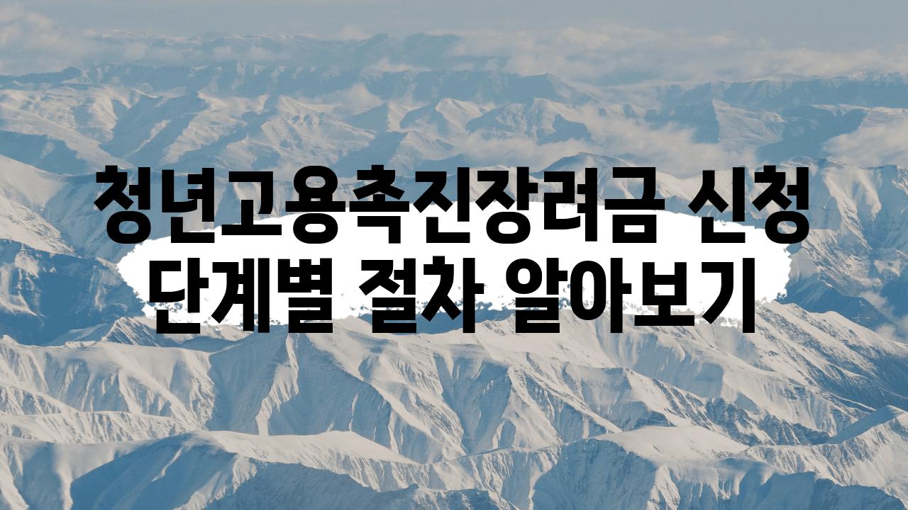 청년고용촉진장려금 신청 단계별 절차 알아보기